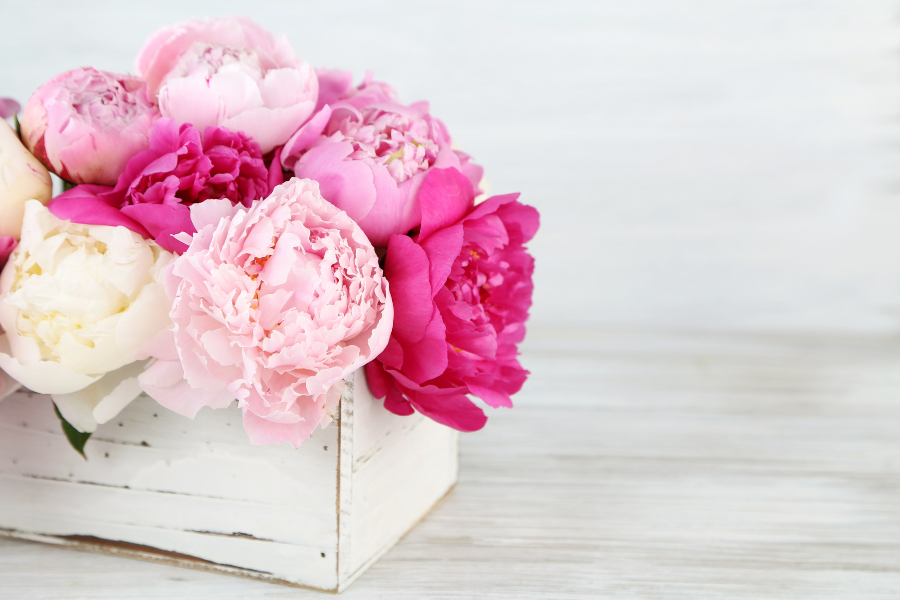 kompozycja florystyczna z piwonii